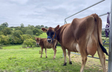 Agricultural and Farming
